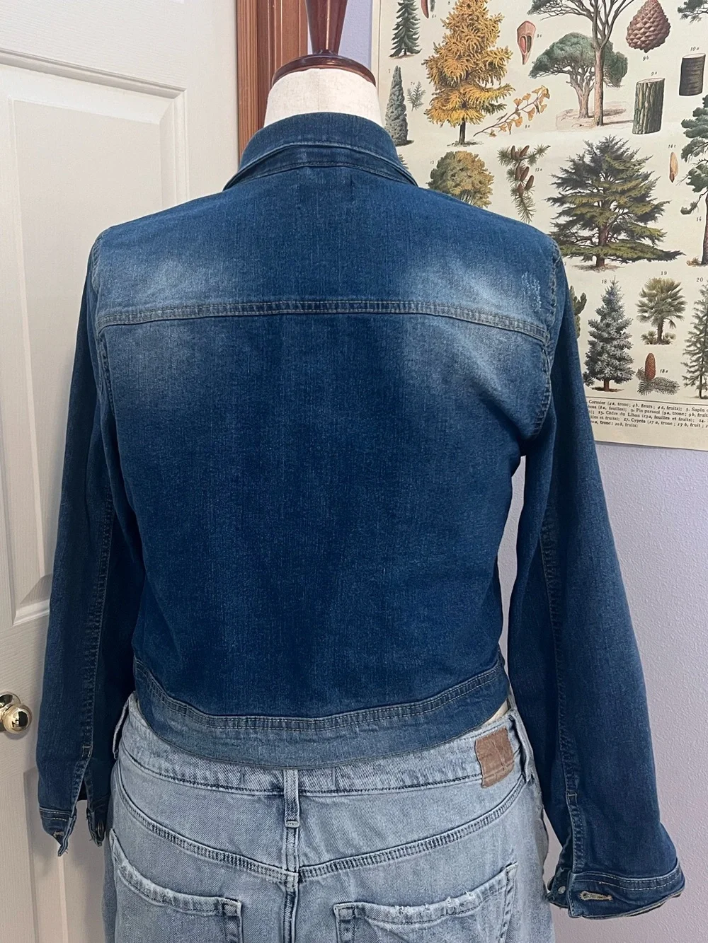 New Look Blue Embroidered Denim Jacket with Multicolor Floral Accents - Picture 4 of 4